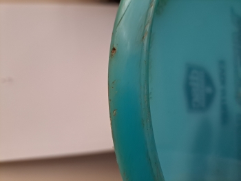 20260519_191302.jpg