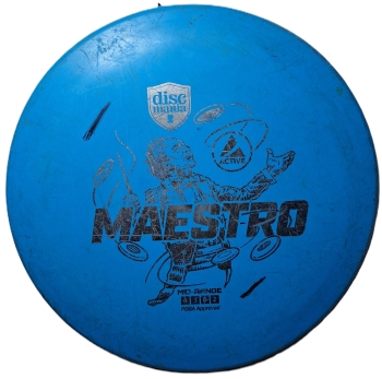 maestro3.JPG