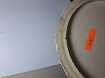20260601_215044.jpg